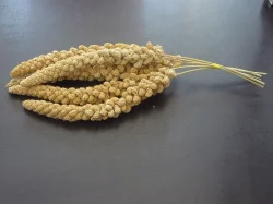 Senegalské proso a sépiové kosti.